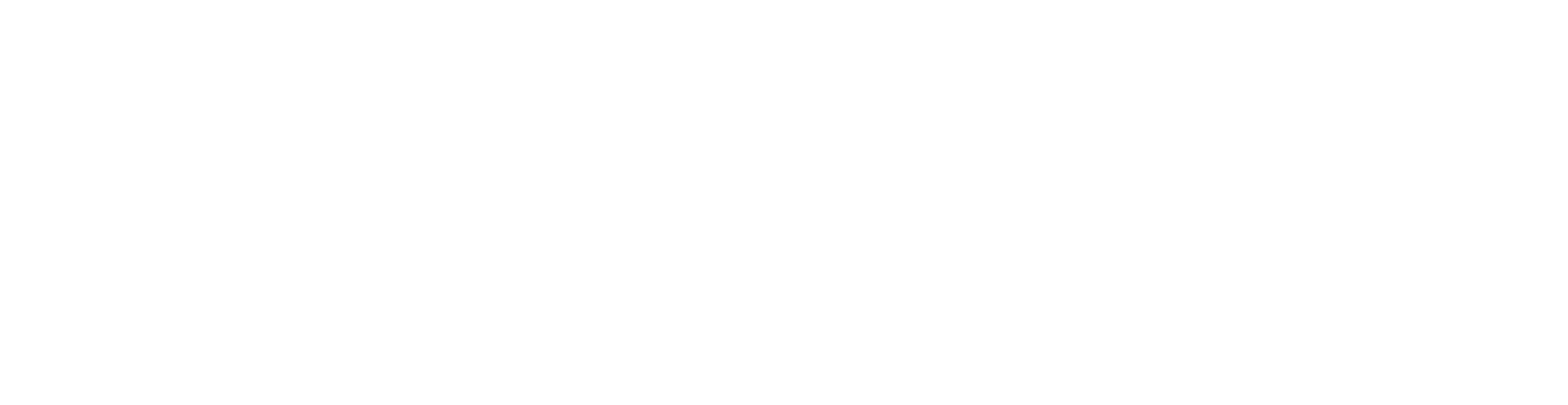 Teddy Academy